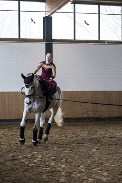 Bild 730 - Voltigierturnier